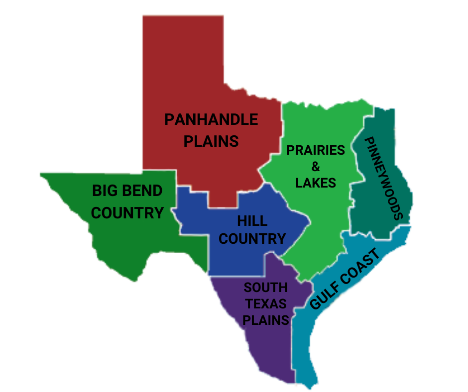 Texas areas covered by Burnett Customs